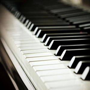 日本兽交×××xx
